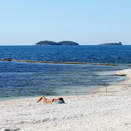 別荘 House With A Parking Space - 21976 *